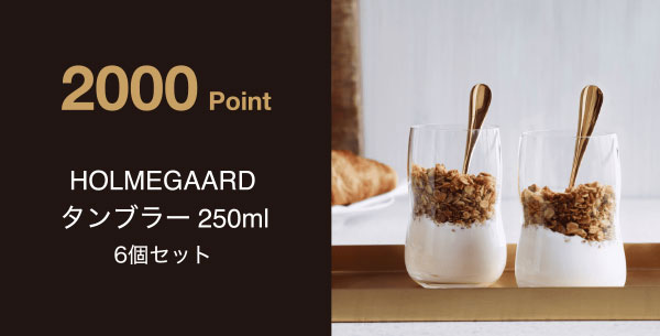 2,000 Point HOLMEGAARD タンブラー250ml 6個セット