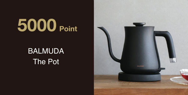 5000 Point　BALMUDA The Pot