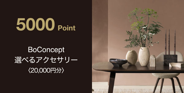 5000 Point　BoConcept 選べるアクセサリー〈20,000円分〉