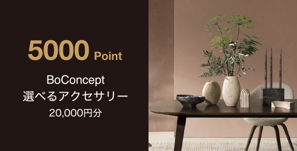5,000 Point BoConcept 選べるアクセサリー 20,000円分