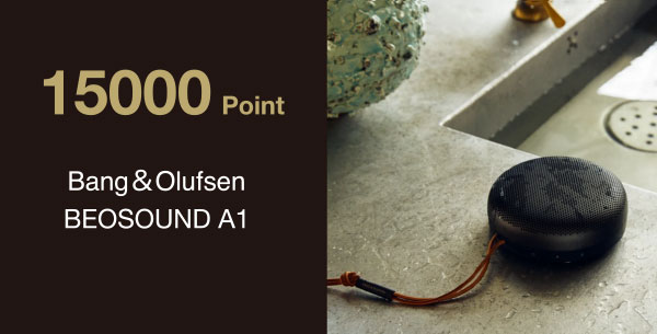 15000 Point　Bang＆Olufsen BEOSOUND A1